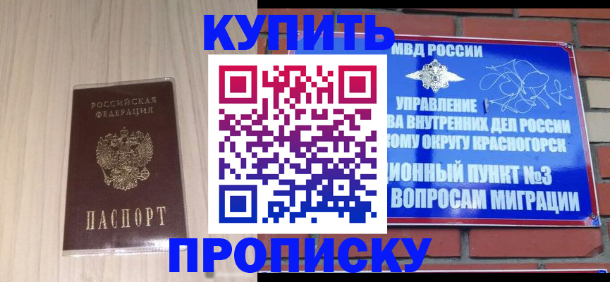 временная регистрация для всех в Луге